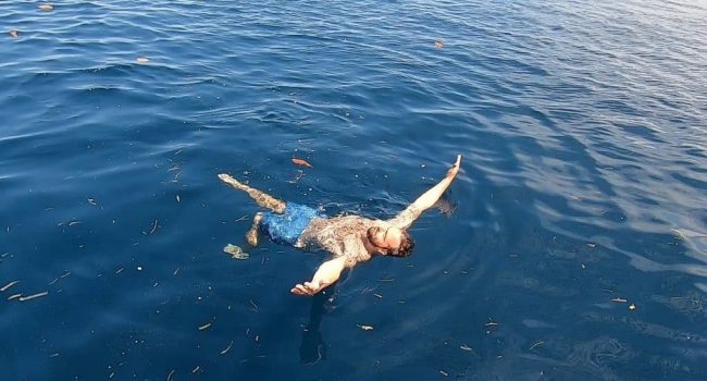 DMT in water Second week of Divemaster course in Bunaken; Tales of Dugong with calf.