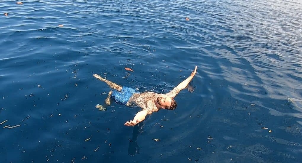 Second week of Divemaster course in Bunaken; Tales of Dugong with calf.