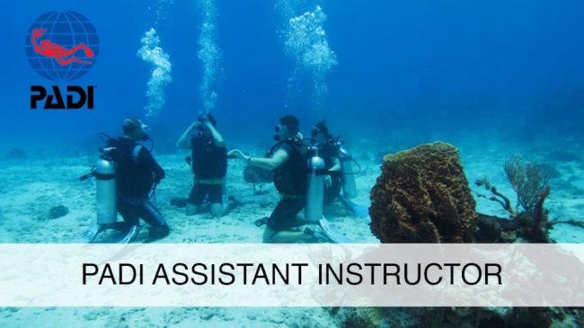 featured image PADI Assistant Instructor