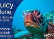 JUICY JUNE DISCOUNT IN LEMBEH, LEMBONGAN AND LOMBOK