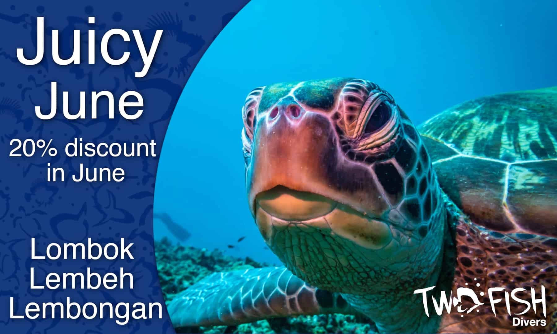 JUICY JUNE DISCOUNT IN LEMBEH, LEMBONGAN AND LOMBOK