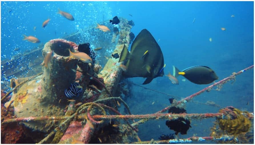 Kubu this wreck is amazing