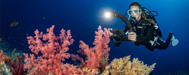 Strobe limitations Underwater Photography