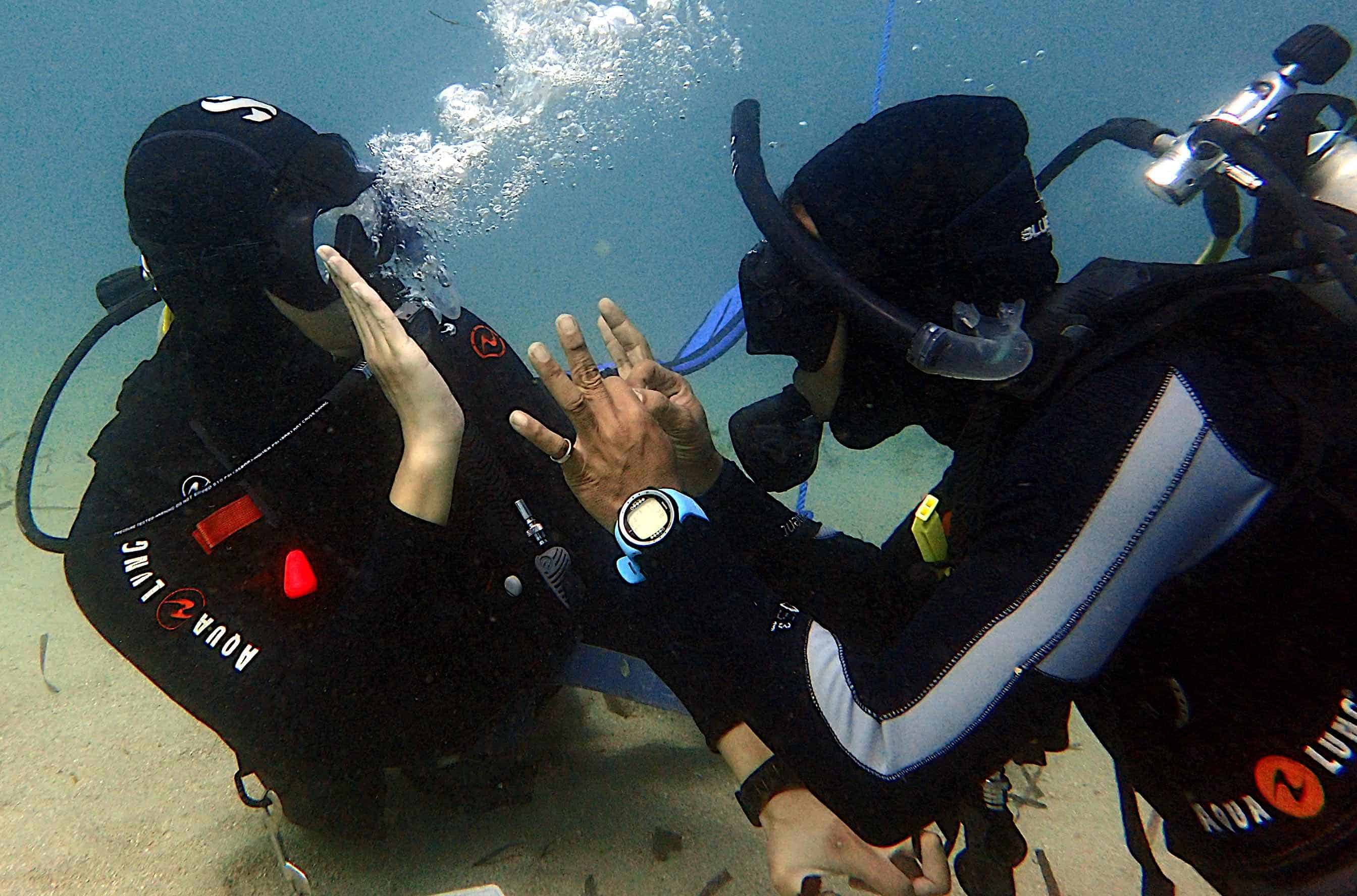 MING IDC Bayu and Ming high five under water | Two Fish Divers