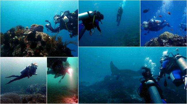 Nusa Penida, Padang Bai, Sanur Bali | Two Fish Divers Bali Nusa Penida, Padang Bai, Sanur Bali | Two Fish Divers Bali