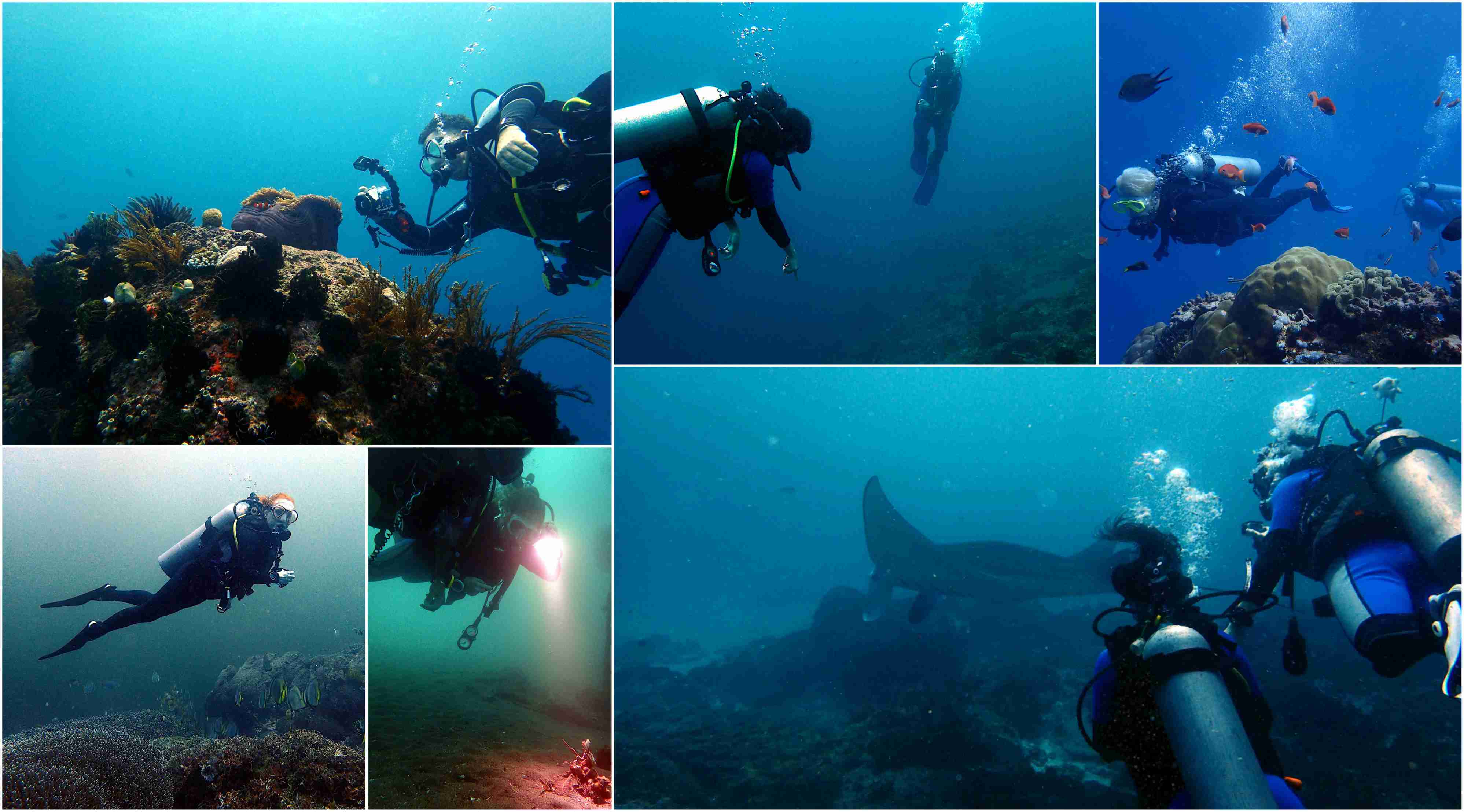 Nusa Penida, Padang Bai, Sanur Bali | Two Fish Divers Bali Nusa Penida, Padang Bai, Sanur Bali | Two Fish Divers Bali