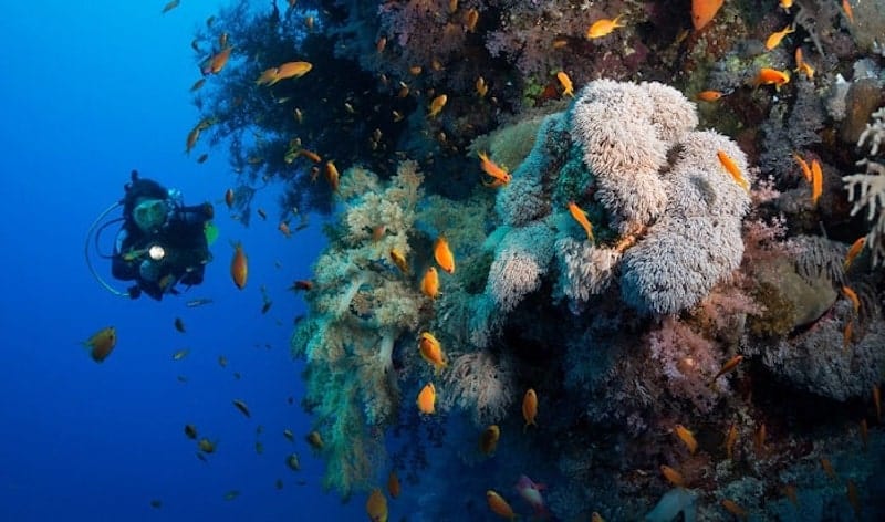 USAT-Liberty-Shipwreck diving in AMed