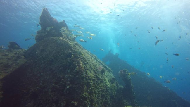 GPTempDownload Divemaster Internship