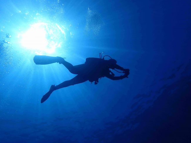 Superb September in Bali Diving in Bali