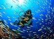 Diving in Indonesia