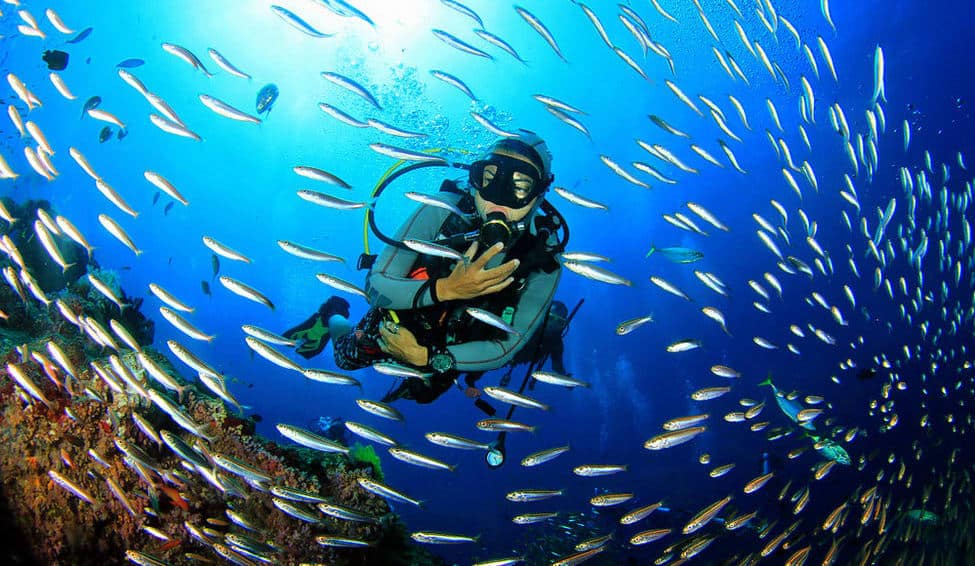 1543323089_shutterstock_294652889.jpg Diving in Indonesia