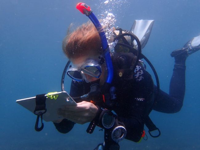 OLYMPUS DIGITAL CAMERA Underwater naturalist