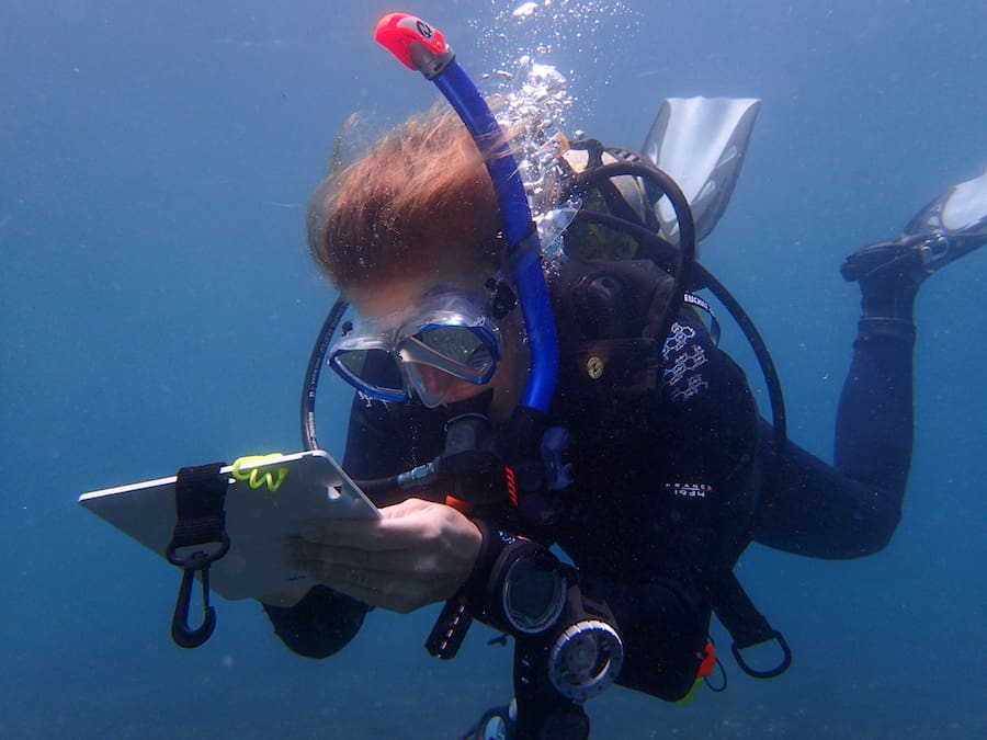 OLYMPUS DIGITAL CAMERA Underwater naturalist