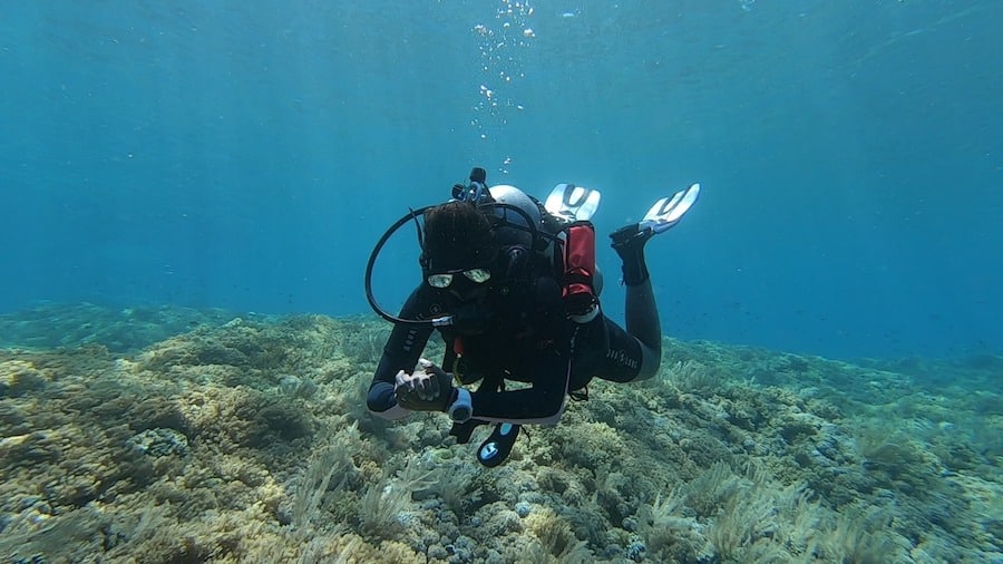 WhatsApp Image 2019-11-09 at 12.35.51 (1) Divemaster training in Bunaken