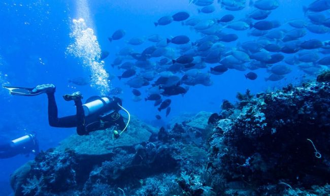 P4150158_1200 Drift diving in Nusa Lembongan