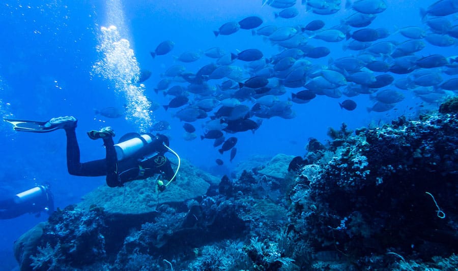 P4150158_1200 Drift diving in Nusa Lembongan