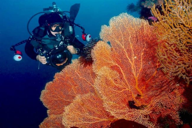 uw_photos_cebu_bo_mancao_9c Underwater Camera Reviews