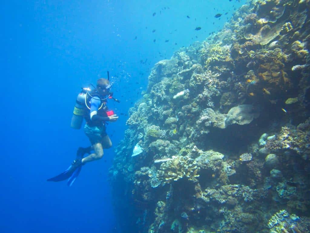 Divemaster Wall new PADI Divemaster