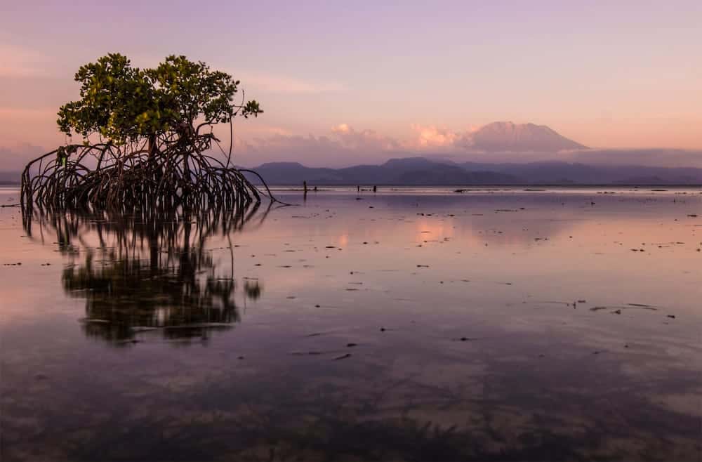sunset_lembob Lembongan's mangrove forest