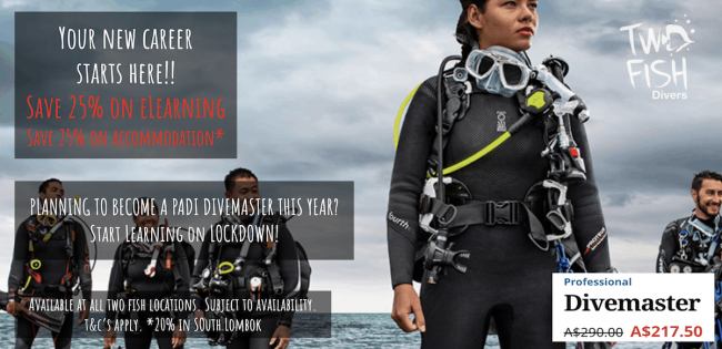 Screen Shot 2020-04-15 at 07.55.02 Divemaster course elearning