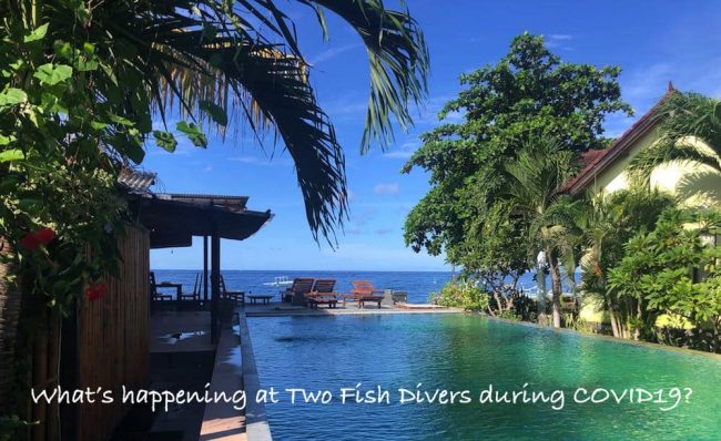 WhatsApp Image 2020-04-17 at 15.27.29 lockdown indonesia