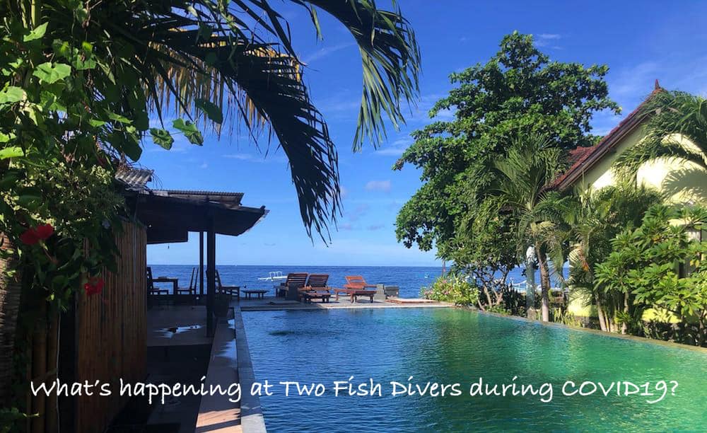 WhatsApp Image 2020-04-17 at 15.27.29 lockdown indonesia