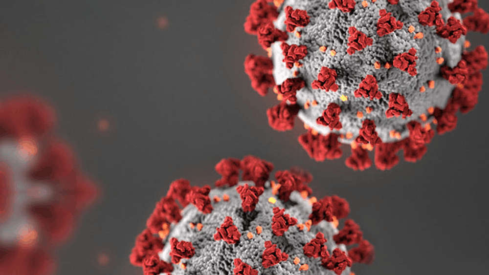 nae-homepage-banner-covid19-FINAL corona virus molecule