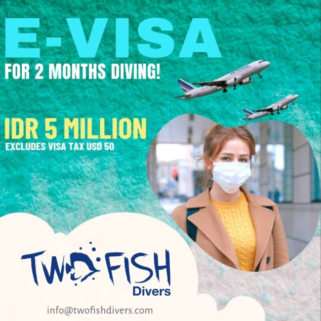 evisa and diving 2020