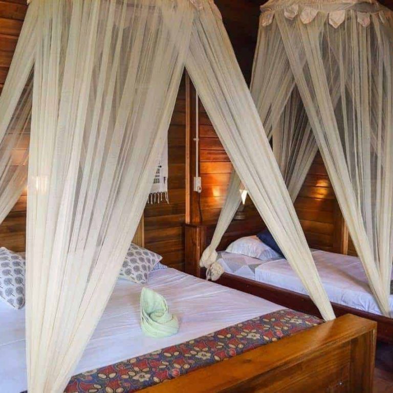 Superior Room Lembeh