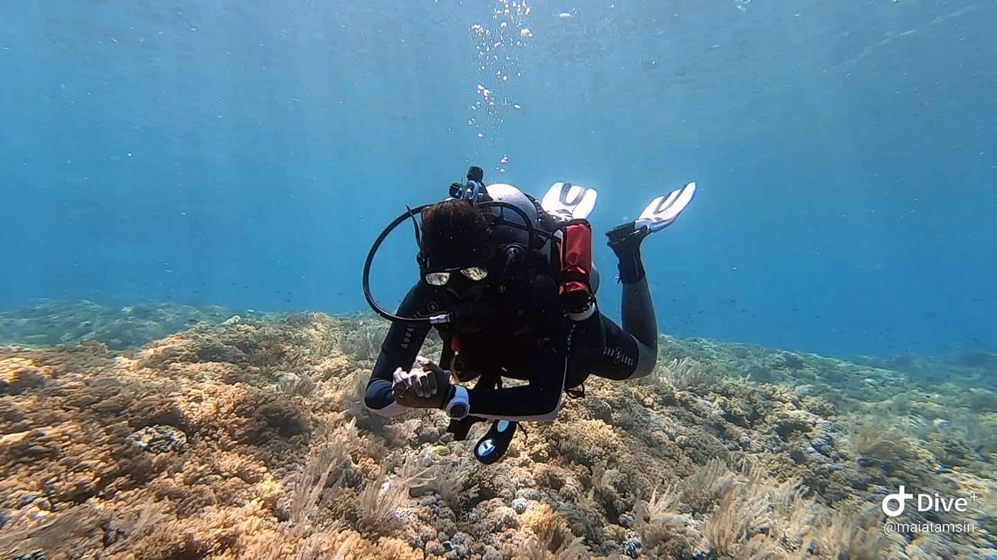 Advanced Course Bunaken