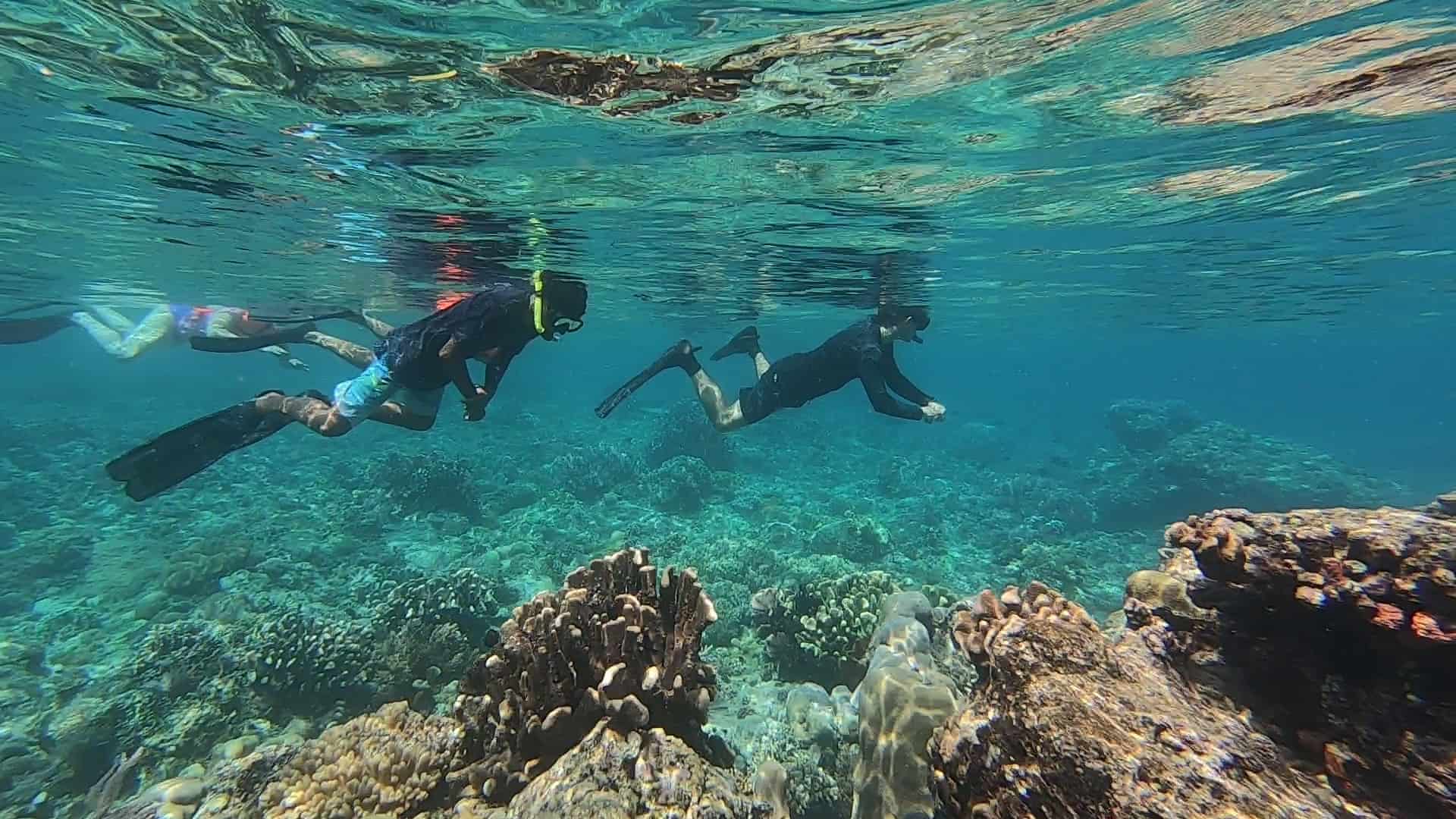 Snorkel Bunaken