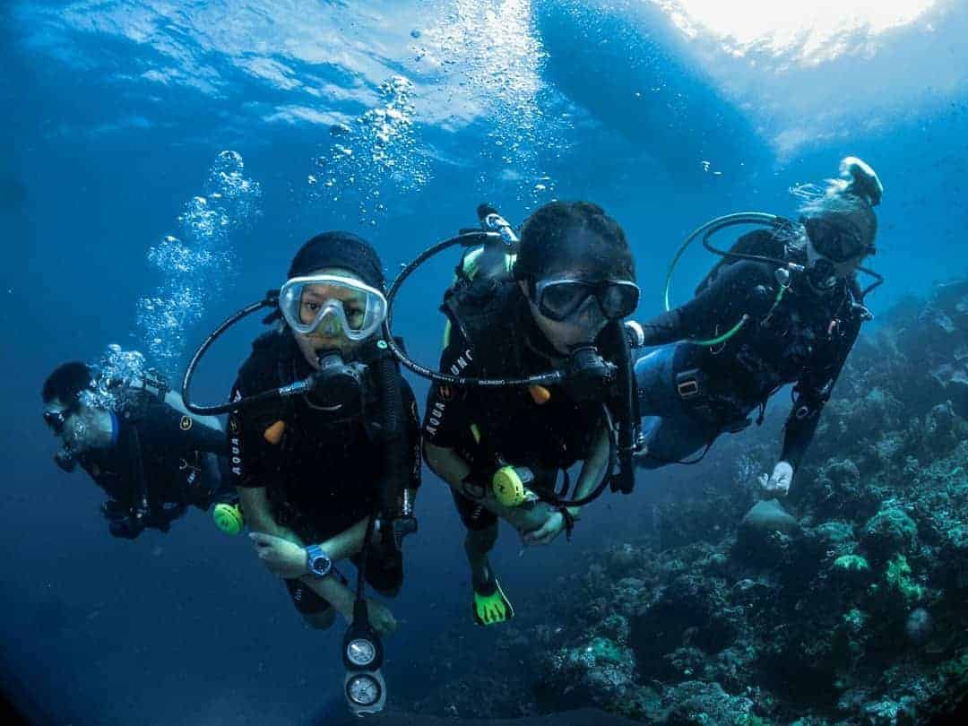 Diving Course Lembeh