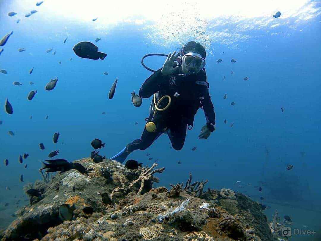 Diving Course Lembeh