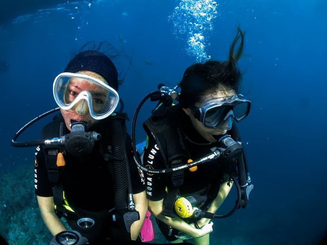 Open Water Course Lembeh